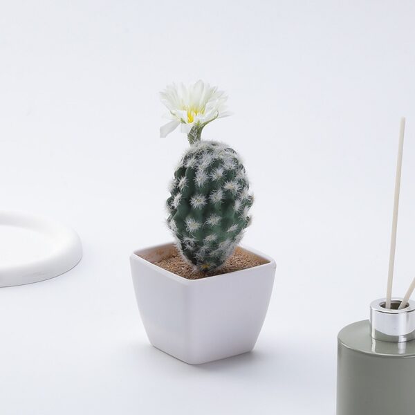 Mini Cactus Decoration - Image 2