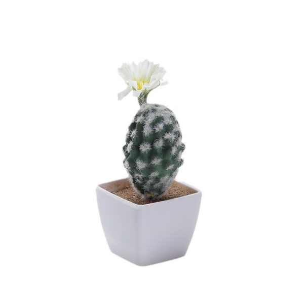 Mini Cactus Decoration
