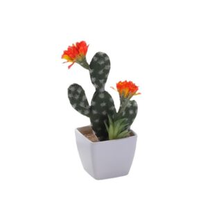Simulation cactus ornaments