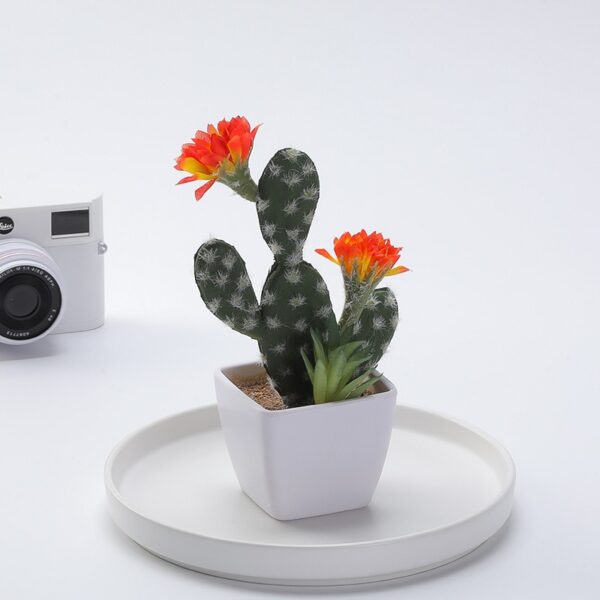 Simulation cactus ornaments - Image 2